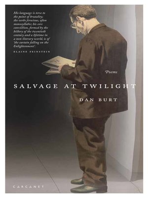 cover image of Salvage At Twilight